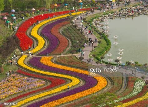  สวนรุกขชาติแห่งเมืองเหยียนเฉิง สัมผัสธรรมชาติอันเขียวขจีและความสงบที่แท้จริง!